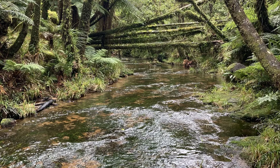 Twice Over The Kamais , Bay of Plenty