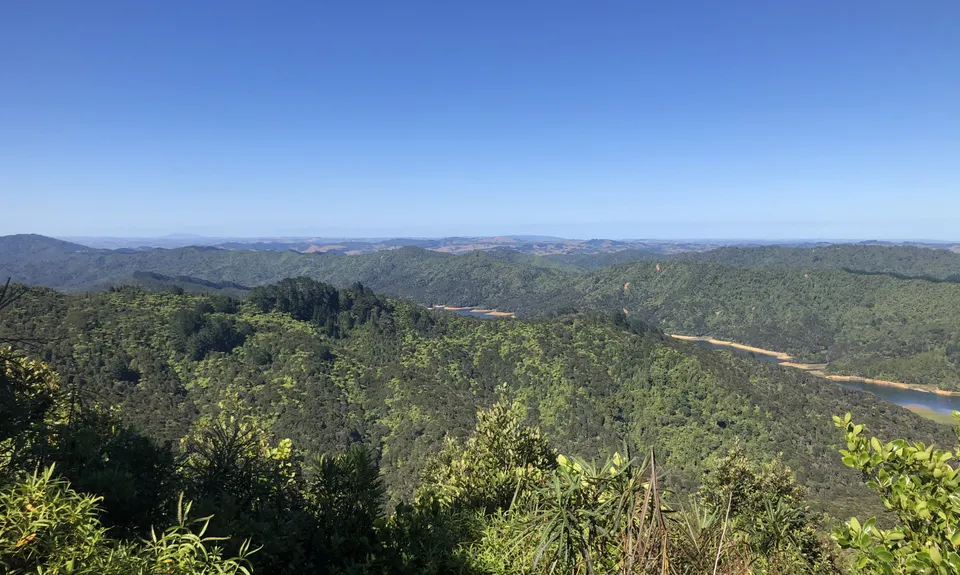 Challenge / Ernies Loop, Auckland