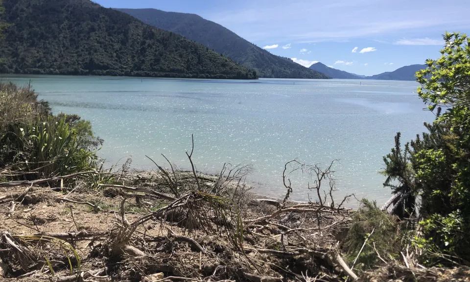 Cullen Point , Marlborough
