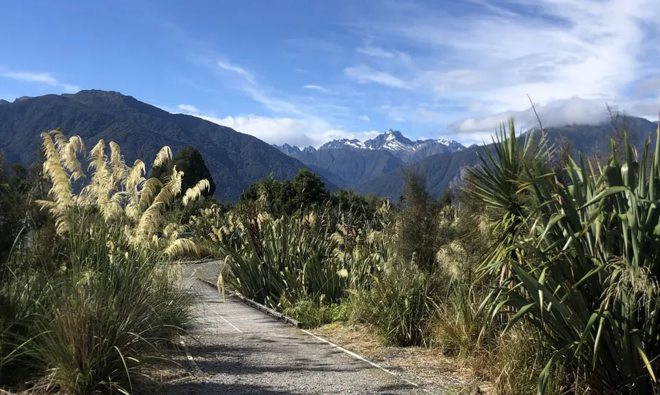 Lake Matheson Meander, West Coast