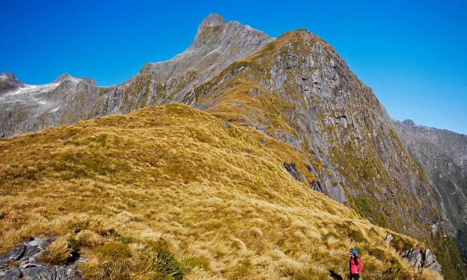 Milford Track , Southland