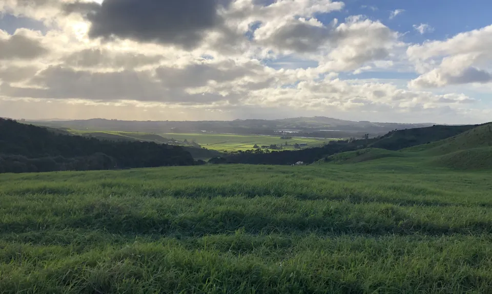 Harker Reserve to Vivian Falls, Waikato