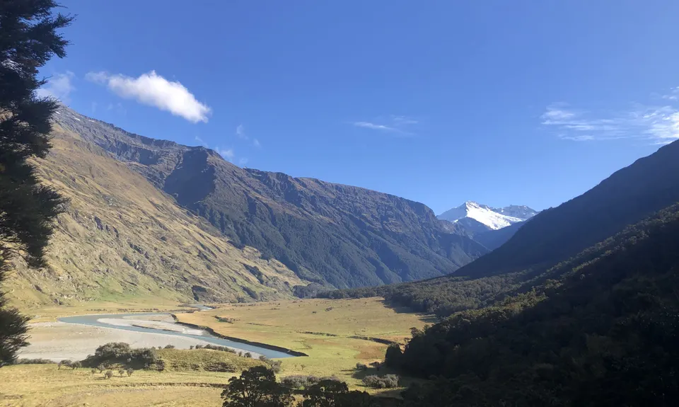 Rob Roy Glacier Track, Otago