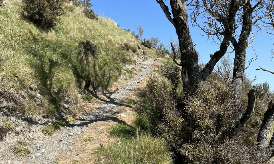 Rakaia Rush, Canterbury