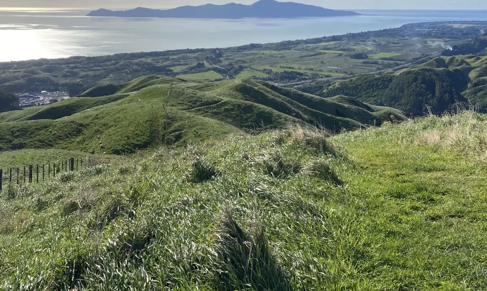 Te Ara Ramaroa Loop, Wellington