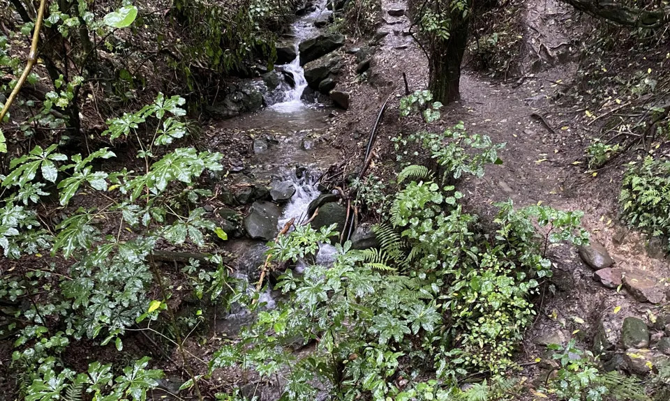 Jimmy Lee Creek, Tasman