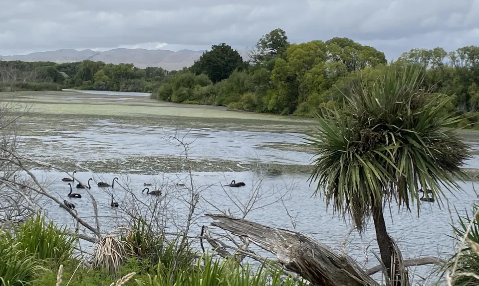 Lagoon-a-Seeker, Marlborough