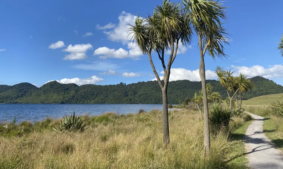 Lake Okareka Walkway, Bay of Plenty