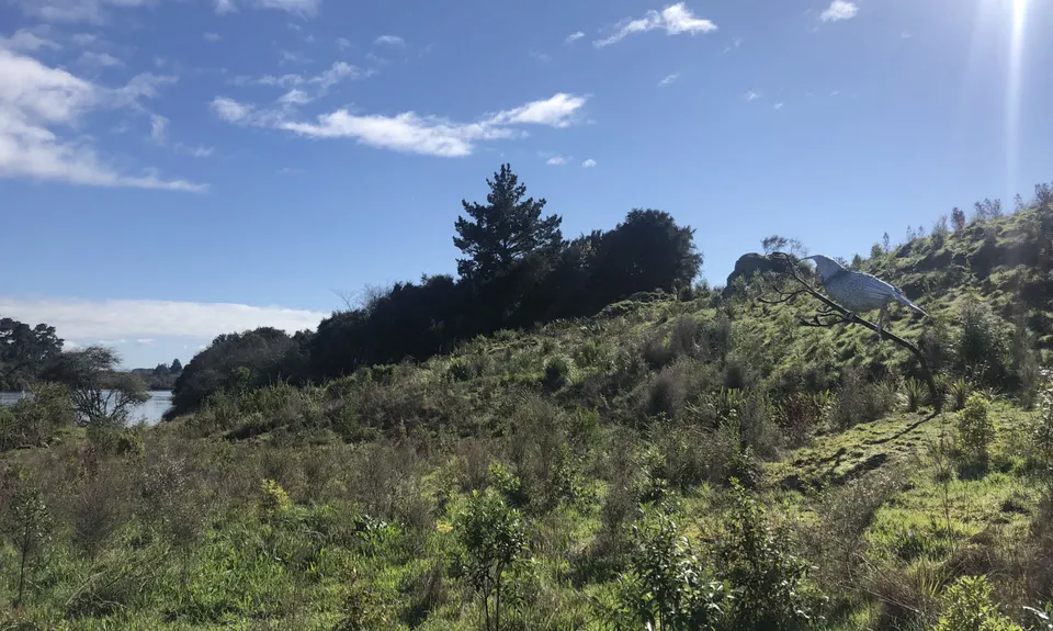 Little Waipa to Arapuni, Waikato