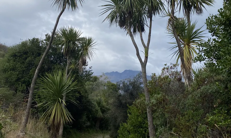 Arawata Track, Otago