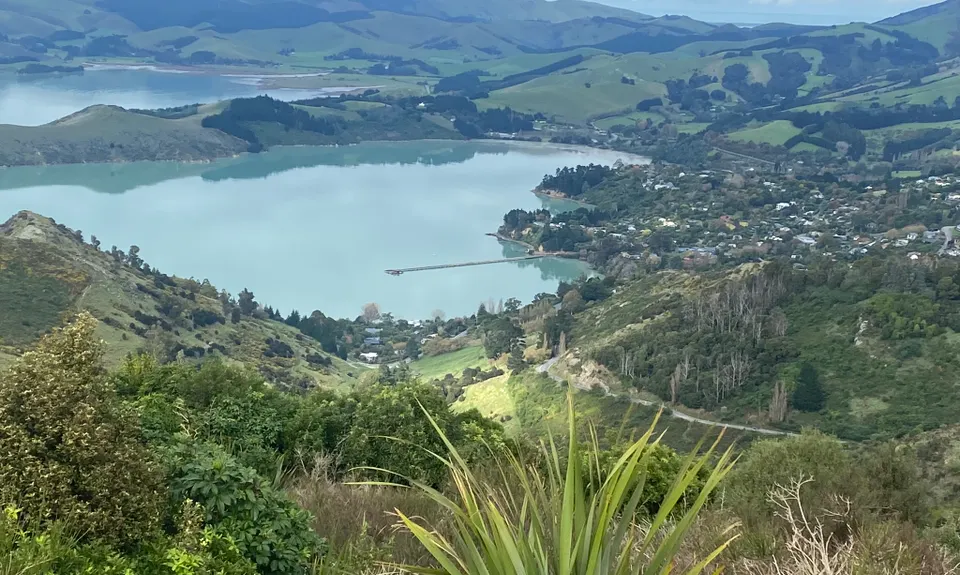 The North Faces, Canterbury