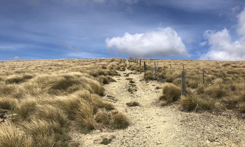 Omarama Saddle (Broken Hut Road Entry), Otago