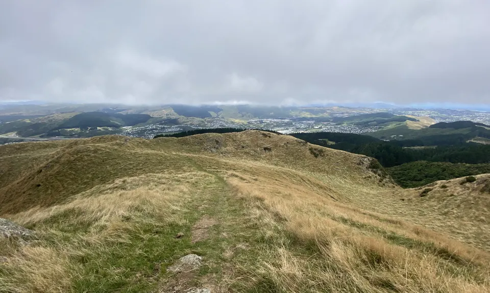 Extended Skyline, Wellington