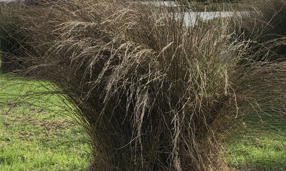 Whitford Coastal Trail Loop , Auckland