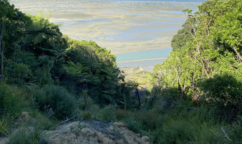 Cullen Point , Marlborough