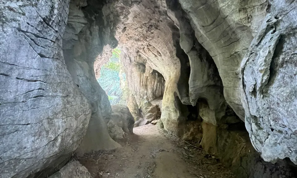 Waitomo Wander, Waikato