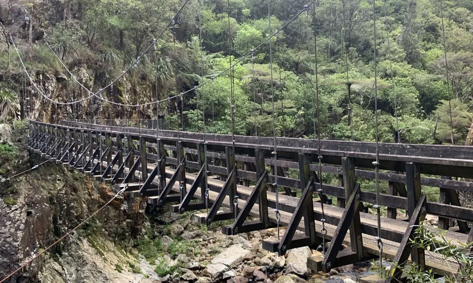 Karangahake Gold, Waikato