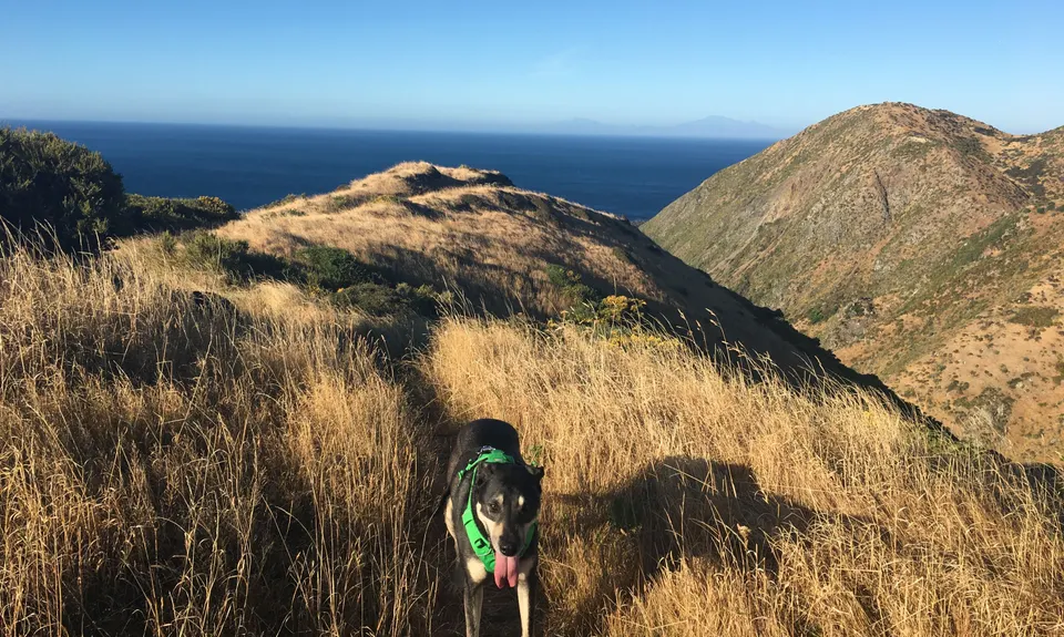 Red Rocks Loop, Wellington