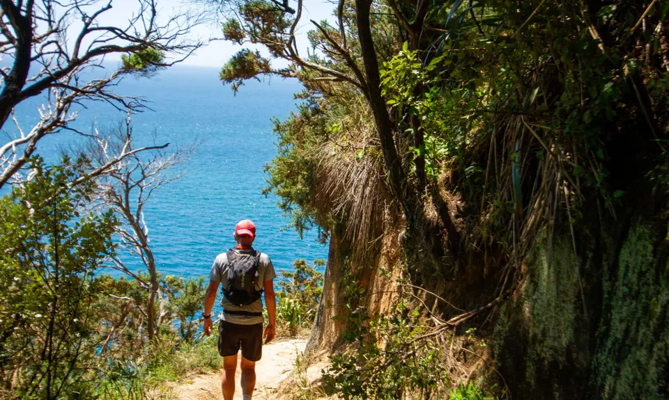 Separation Point Loop, Tasman