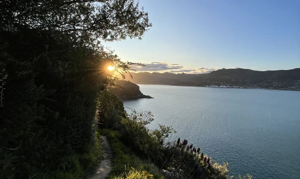 Coastal Cliff Candy, Canterbury