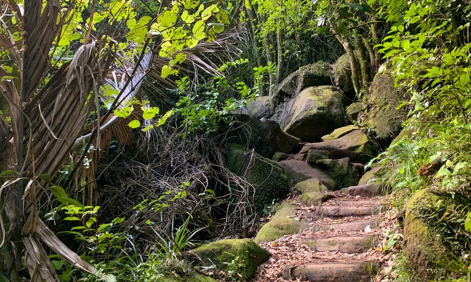 Te Tuhi Wairere Loop, Waikato