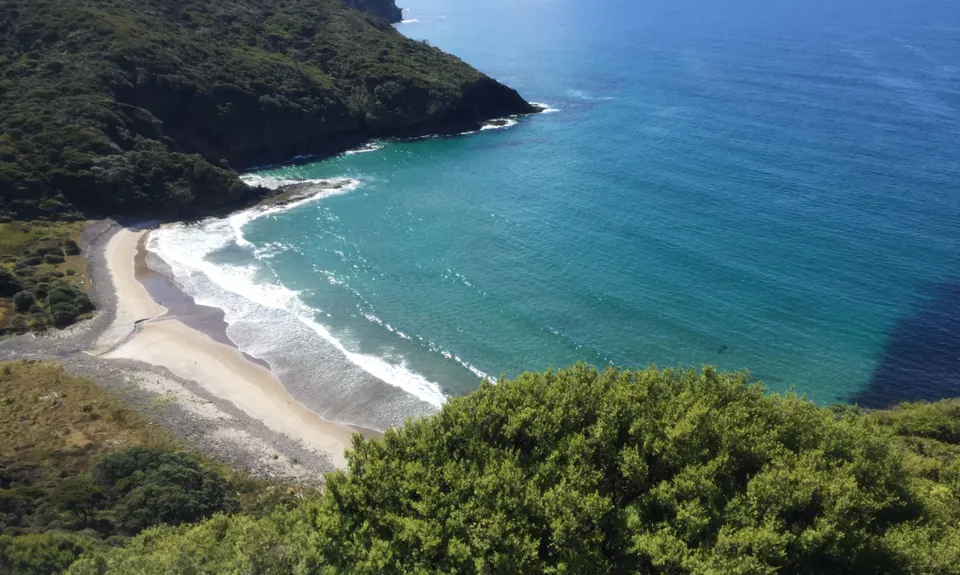 Harataonga Coastal Walkway, Auckland
