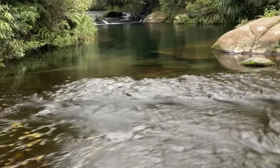 Whakamarama Loop, Bay of Plenty