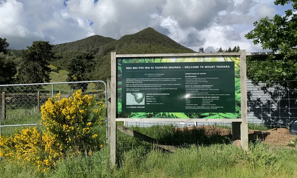 Tauhara Grunt, Waikato