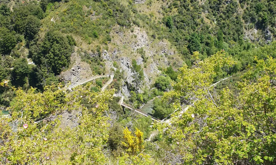 New Chums Loop, Otago