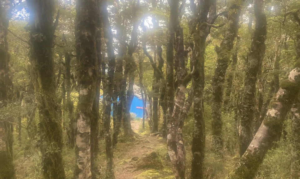Blue Range Hut, Wellington