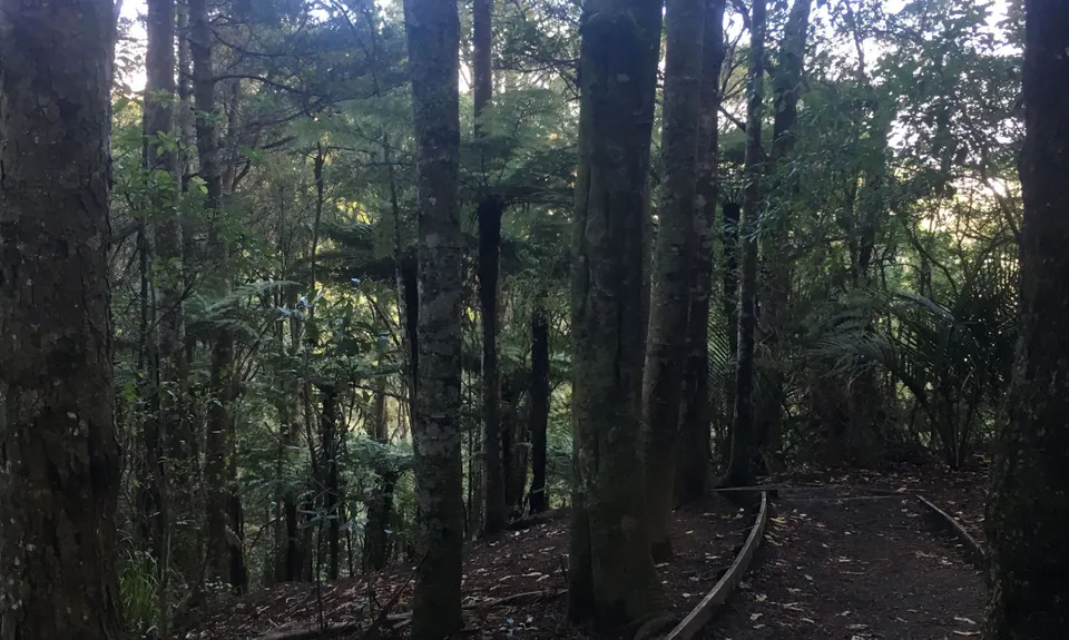 Totara Park Track, Auckland