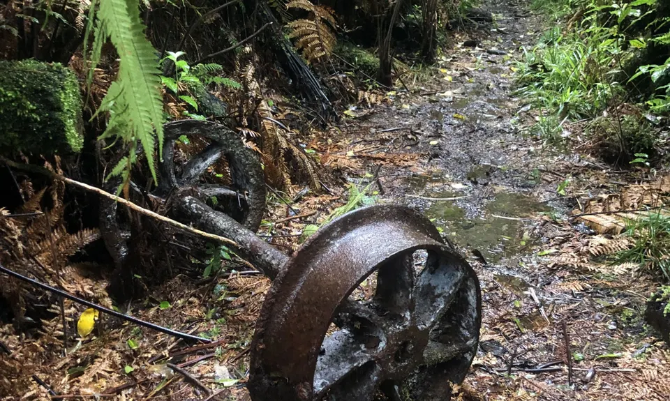 Woods Mill Track, Waikato