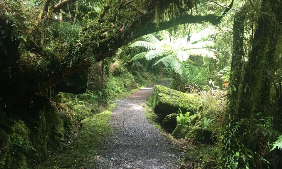 Monro Beach Track, West Coast