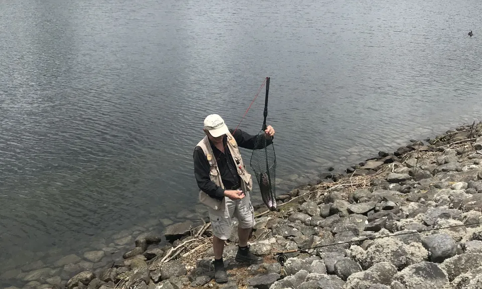 Lake Mangamahoe, Taranaki