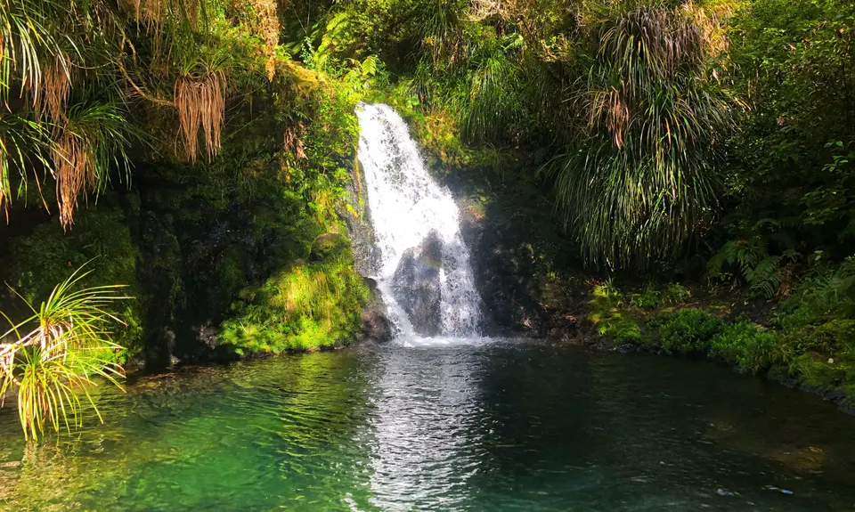 Otainewainuku - Whataroa Falls, Bay of Plenty
