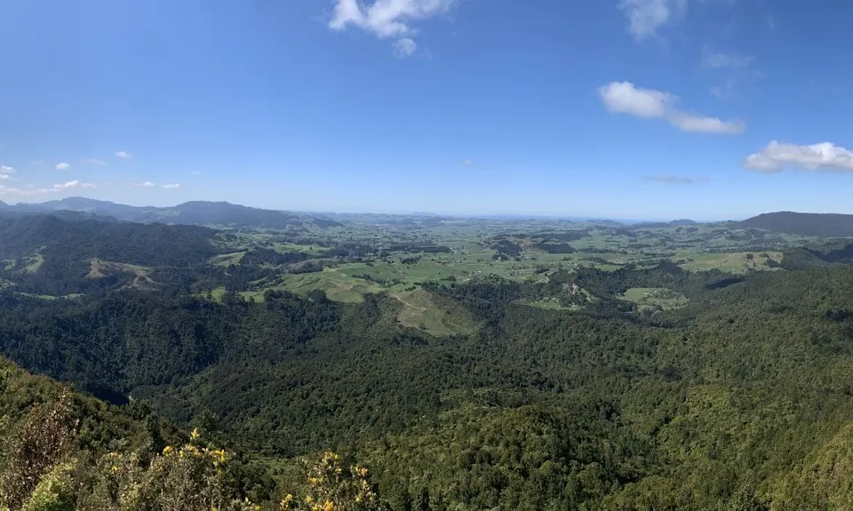 Karangahake Gold, Waikato