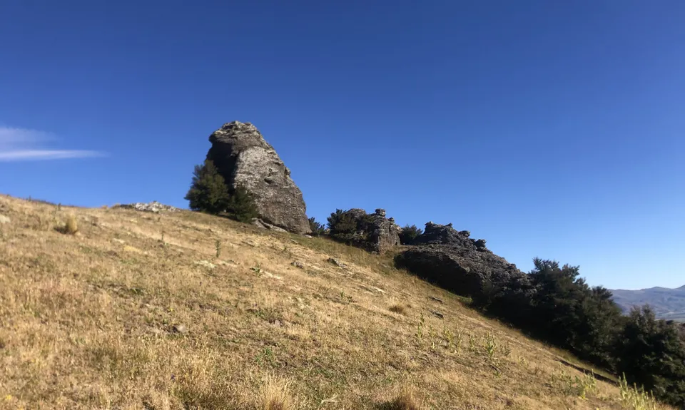 Aurora and Kanuka Loops, Otago