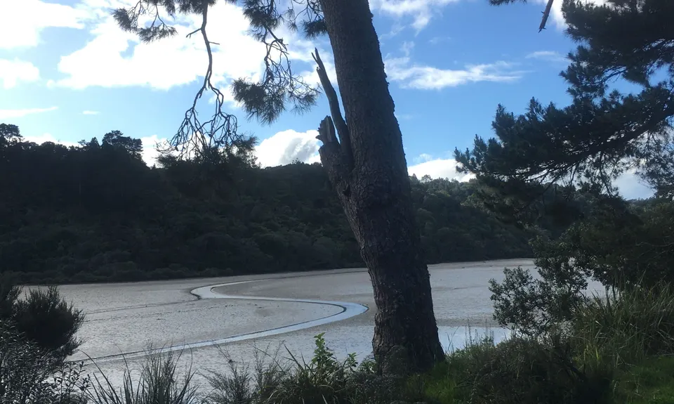 Beach Haven Bridges to Pitches, Auckland