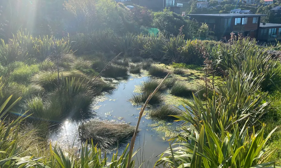 Frogger, Canterbury