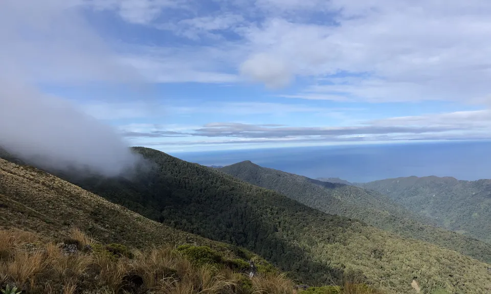 Mt Watson Croesus Loop, West Coast