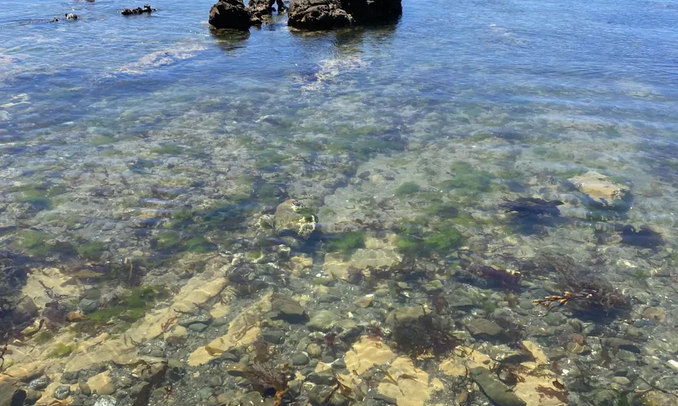 Te Raekaihau Point, Wellington