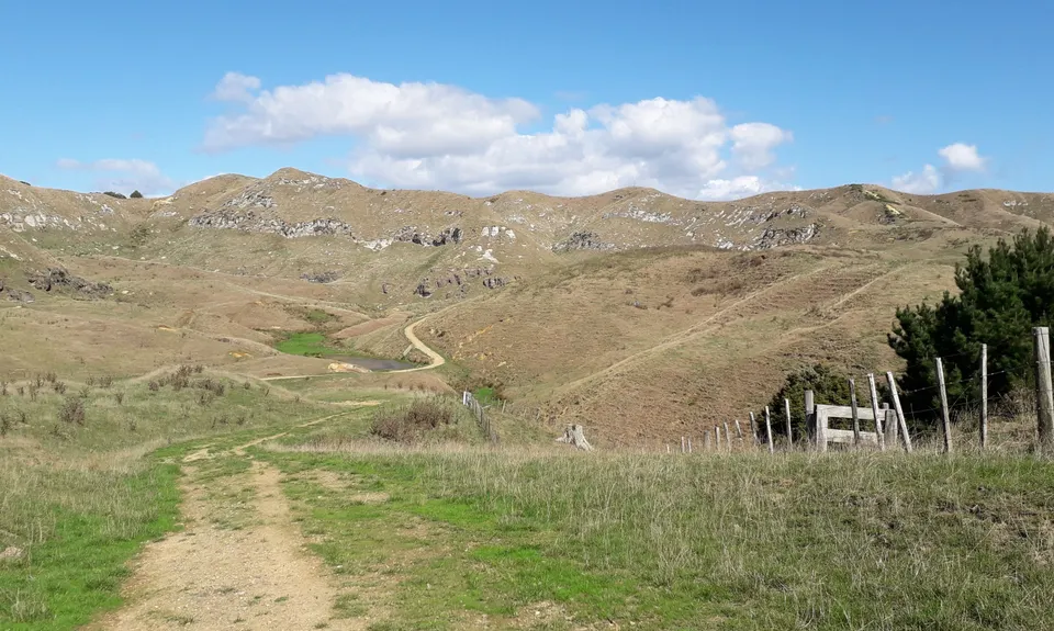 Karamu Walkway South, Waikato