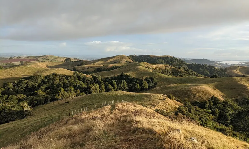 Mt William Wacky Walkway, Auckland