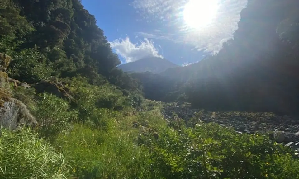 Curtis Falls, Taranaki