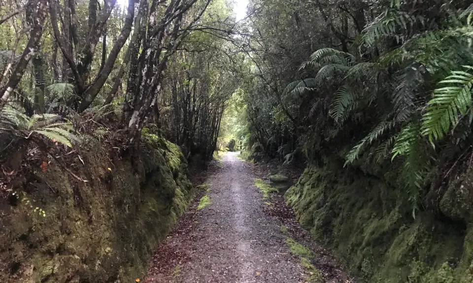Mananui Tramline, West Coast