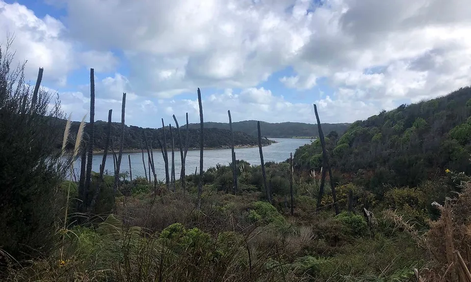 Kai Iwi Lakes, Northland