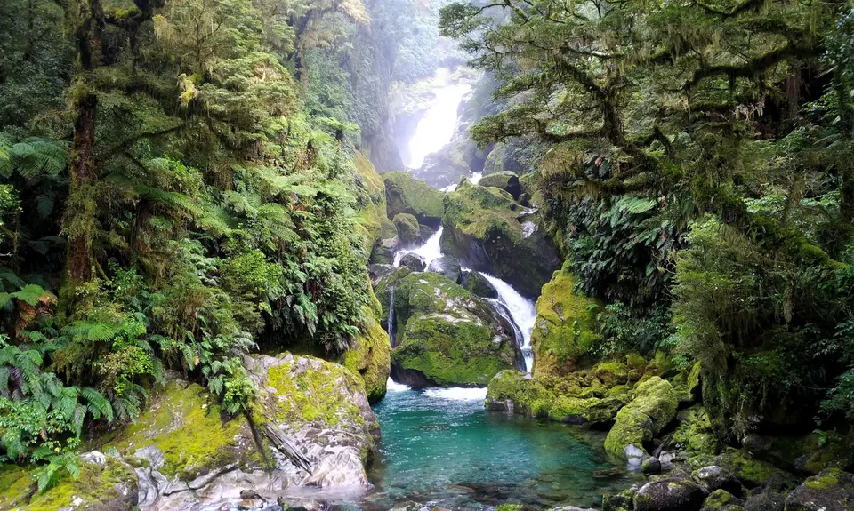 Milford Track , Southland