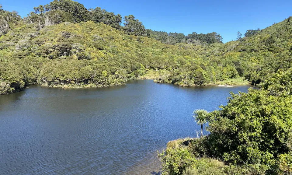 Seeking Sanctuary, Wellington