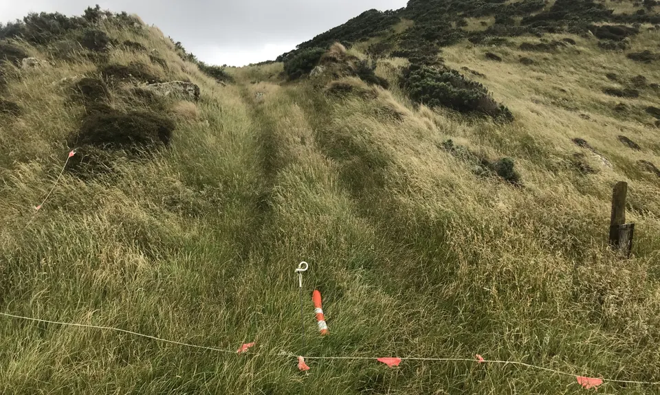 Spooky Gully and the Rocky Shore, Wellington