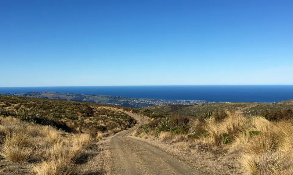 Flagstaff Swampy Circuit, Otago
